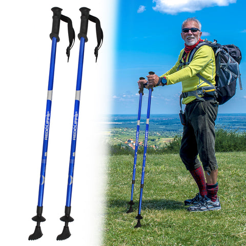 2PC Blue Nordic Walking Stick Set - MrPRICE.online