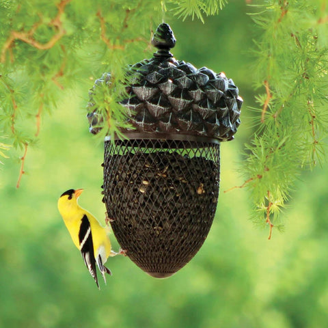 Mixed Acorn Feeders Seed - MrPRICE.online