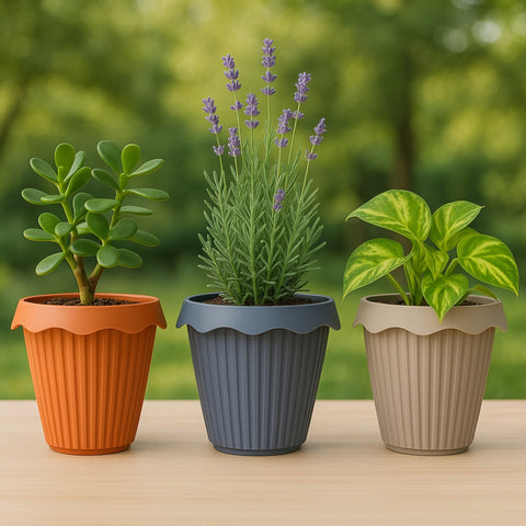 Small Round Garden Planter Assorted Colours - MrPRICE.online