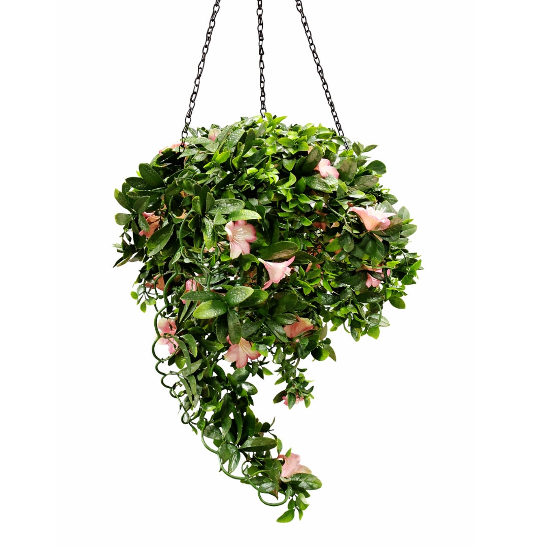 azalea hanging plant Hanging Basket Azalea 100cm x 35cm – MrPRICE.online