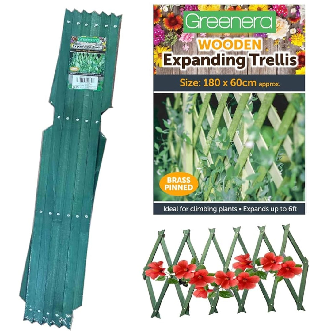 Expanding Wooden Trellis 180x60cm – MrPRICE.online