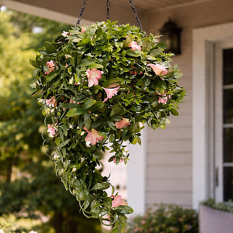 online hanging basket plants Hanging Basket Azalea 100cm x 35cm – MrPRICE.online