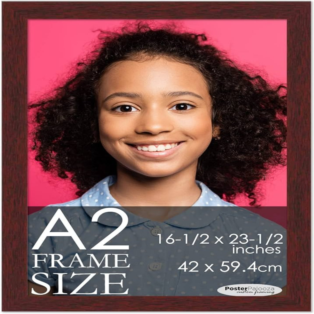 A2 Frame – 16.5x23.3 Inches – Beech Wood Finish – MrPRICE.online