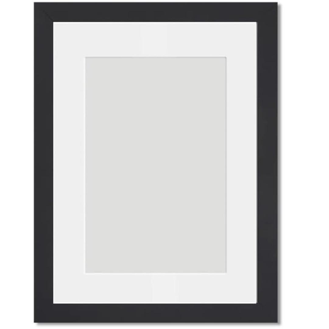 Black Double Mount Frame 8x10 – MrPRICE.online