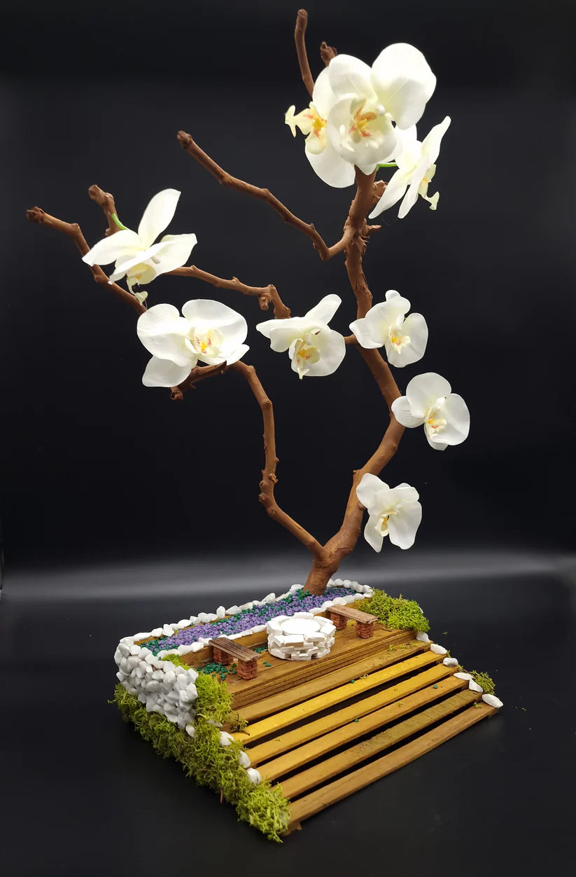 Orchid Bonsai – MrPRICE.online