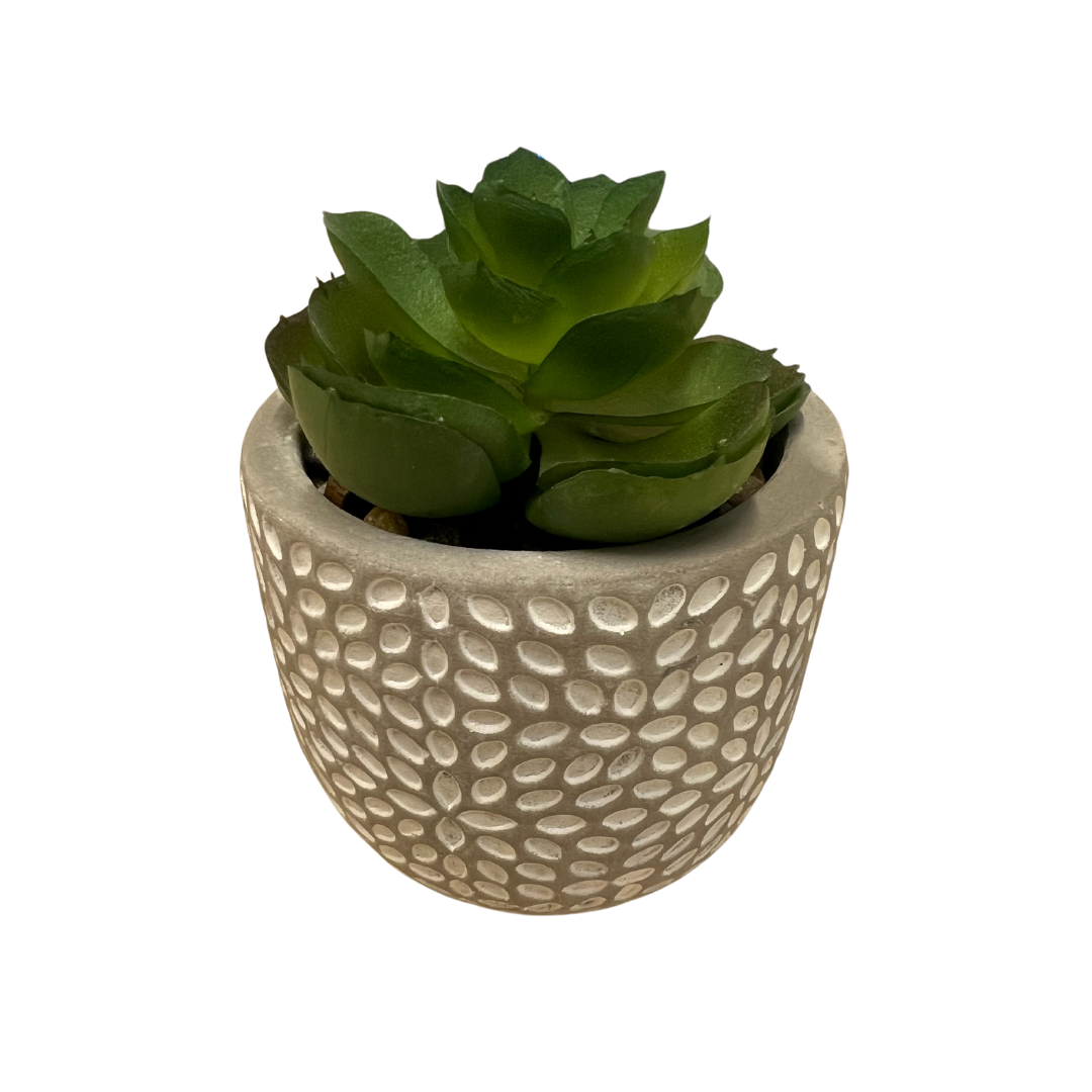 mr succulent Artificial Mini Succulent in Concrete Pot – MrPRICE.online
