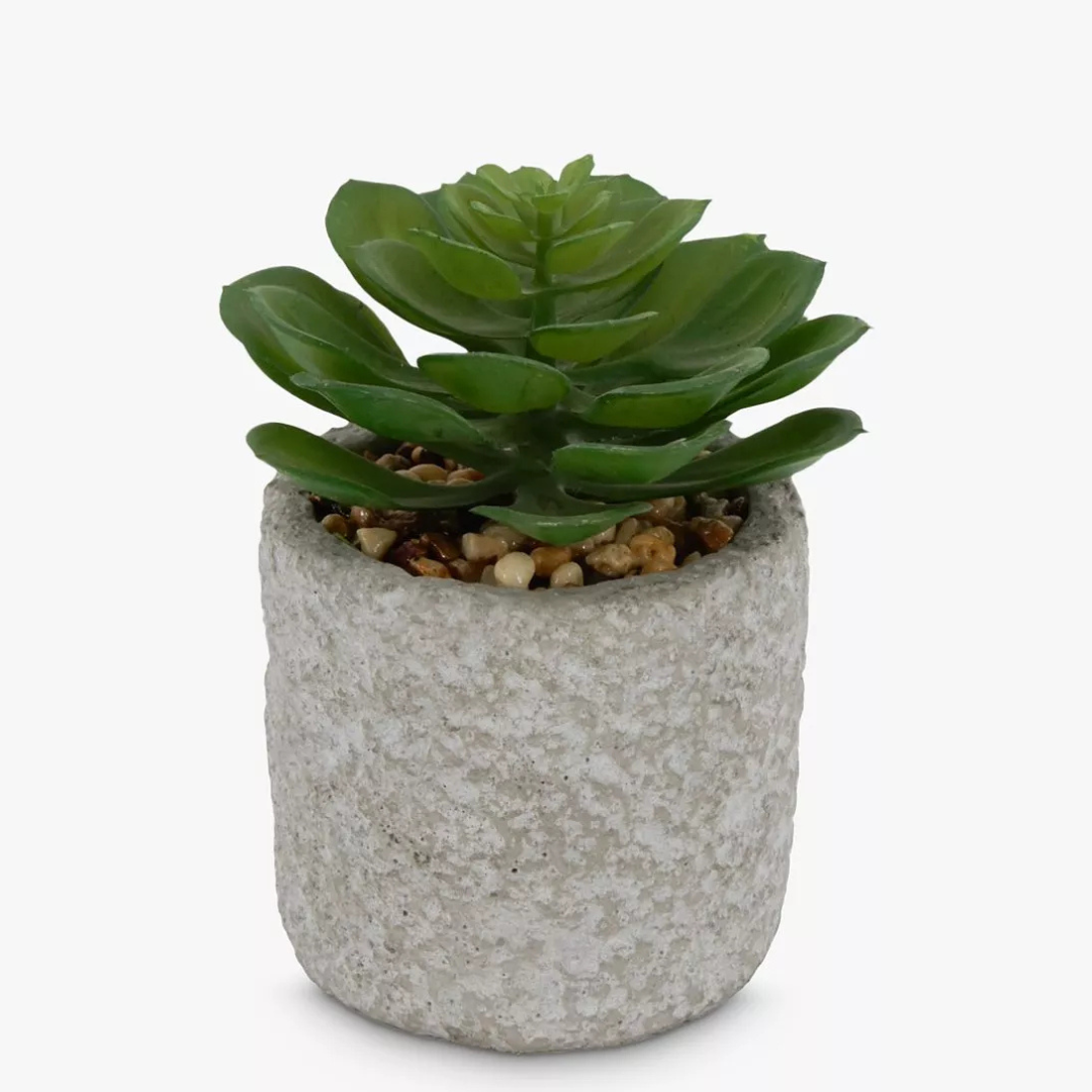 mr succulent Artificial Mini Succulent in Concrete Pot – MrPRICE.online