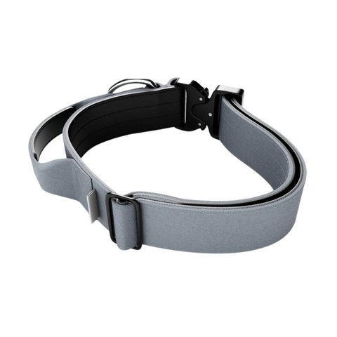 Pet Collar Luxury L 65cm Silver - MrPRICE.online