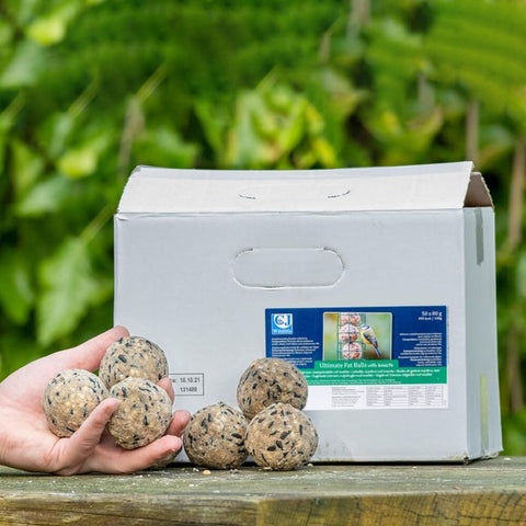 Box of Fat Balls 50x80g - MrPRICE.online